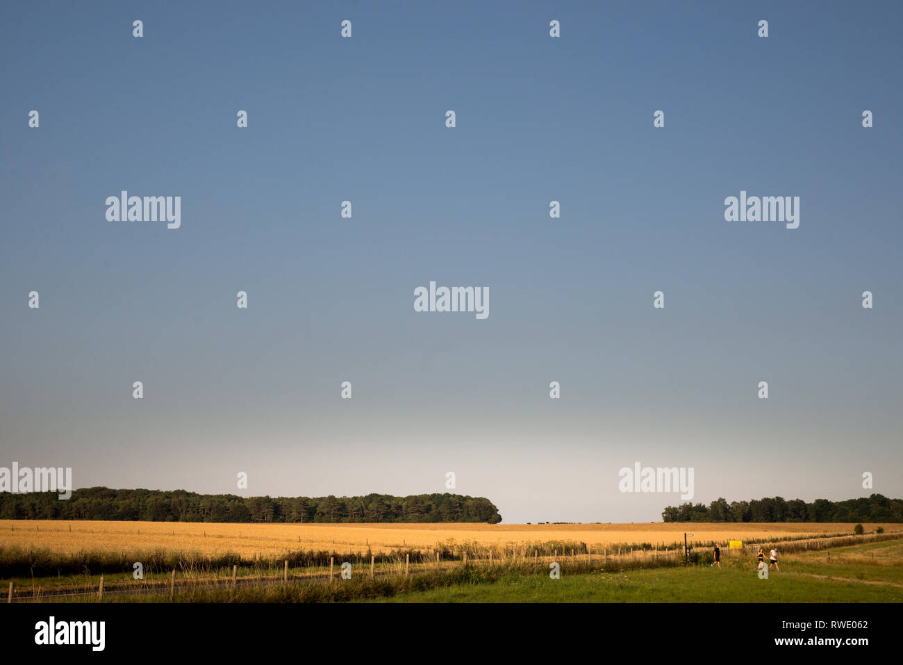 Il paesaggio rurale della campagna inglese Foto Stock