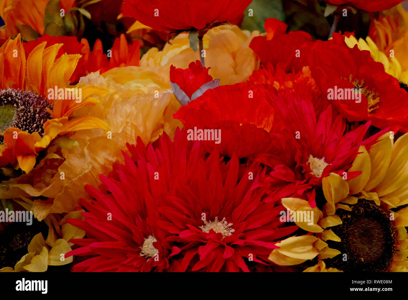 Il 20 gennaio, 2019 Carmelo, CA, Stati Uniti d'America una visualizzazione generica di fiori in un mercato nel Carmelo, CA Foto Stock