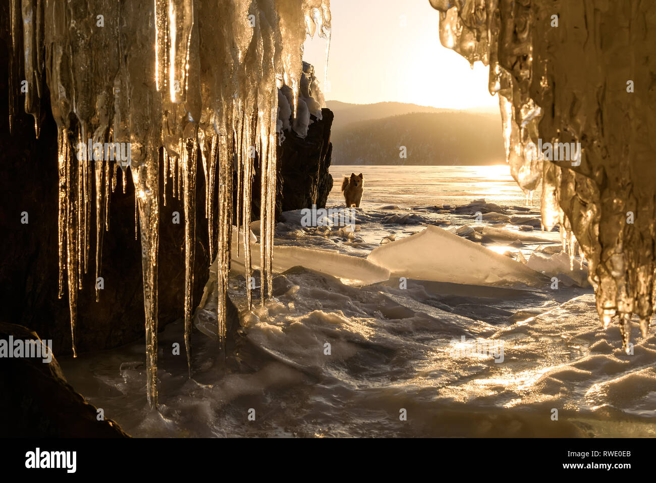 Incredibile sunrise oltre le montagne e il lago ghiacciato in inverno da una caverna di ghiaccio con ghiaccioli e un cane. Lago Teletskoye, Altai, Russia Foto Stock