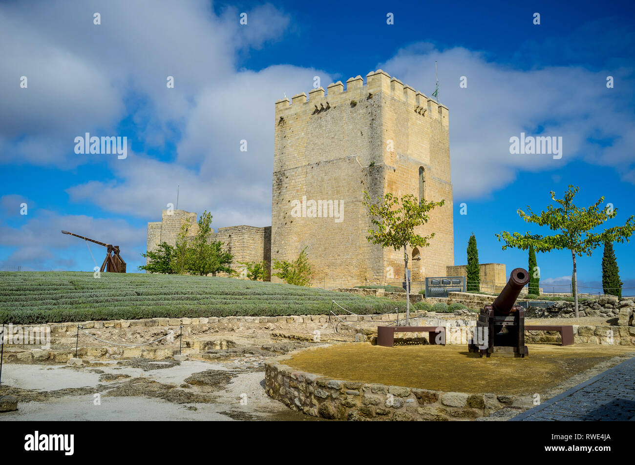 All'interno di Alcala la Real Castello, mostrando la Alcazaba Tower, lavanda giardino, trebuchet e cannon armi da difesa, Provincia di Jaen, Analusia, Spagna. Foto Stock