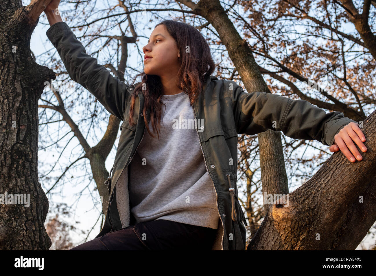 Vista dal basso di un caucasian bella ragazza con lunghi capelli castani, indossa una giacca verde, in piedi nella struttura ad albero e guardando lontano Foto Stock