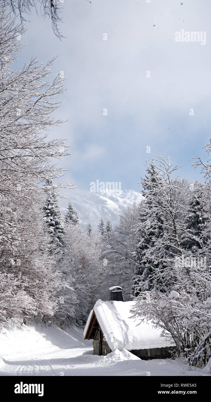 Una coperta di neve sentiero forestale conduce a uno chalet di montagna nascosta in una foresta coperta di neve fresca. Foto Stock