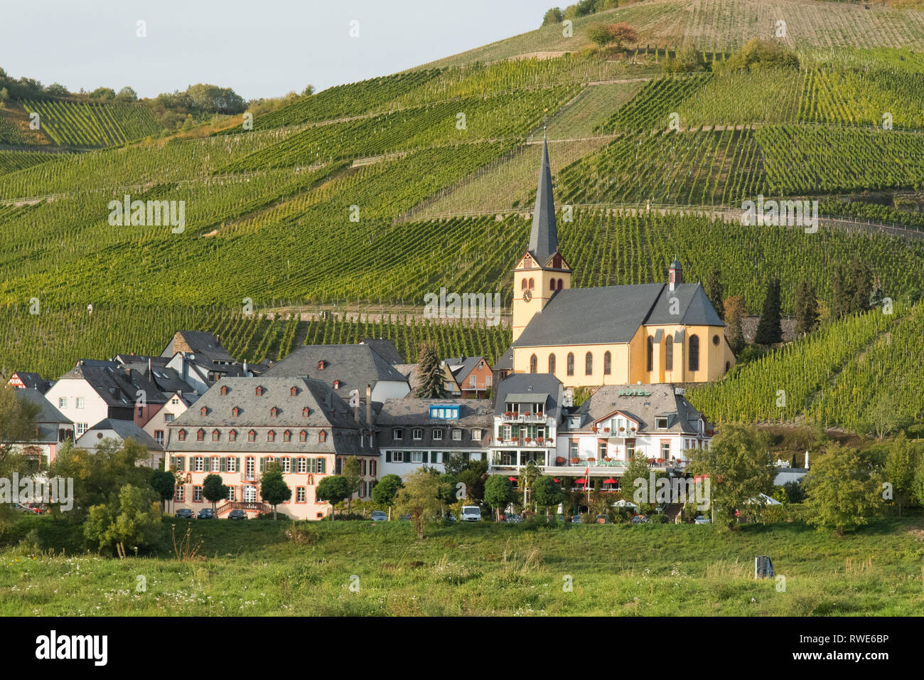 Zeltingen-Rachtig - un vino Tedesco borgo circondato da vigneti accanto al fiume Moselle nella Valle della Mosella, Germania, Europa Foto Stock