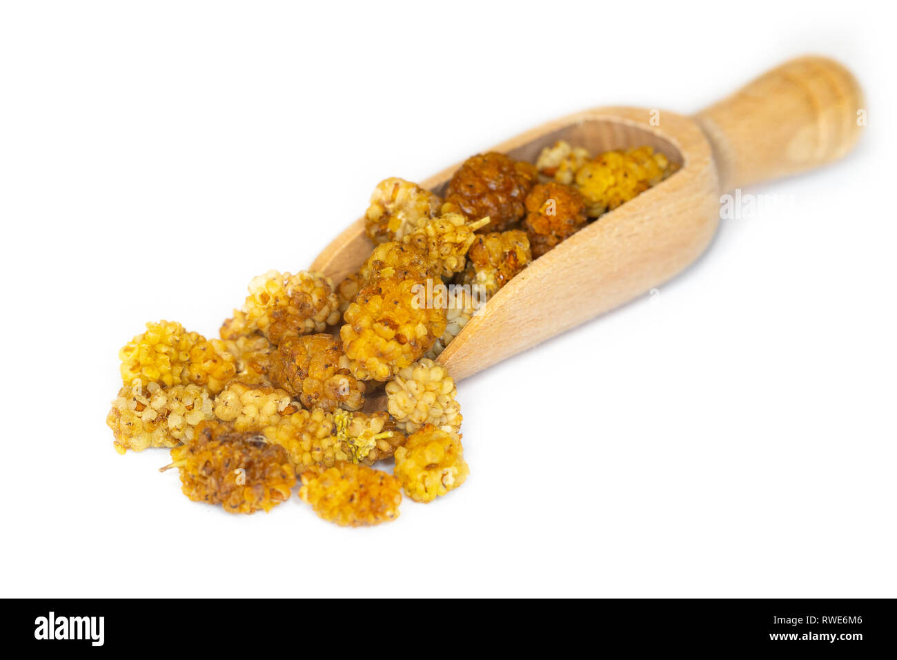 Primo piano della essiccata bianca gelsi, un impianto basato fonte di potassio e ferro, presentato su un piccolo cucchiaio di legno Foto Stock