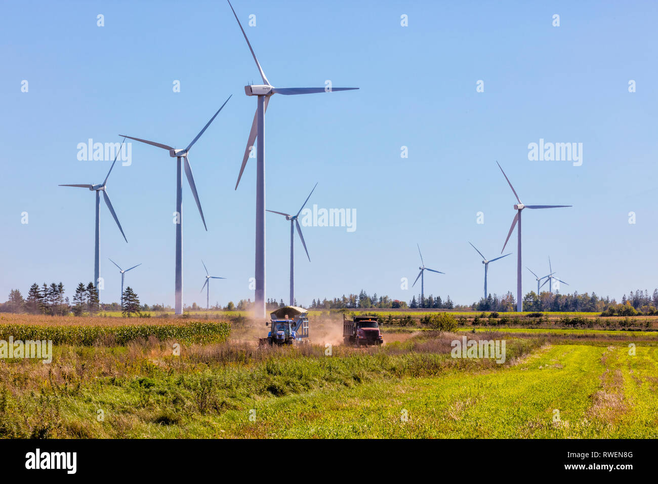 Raccolta del mais e delle turbine a vento, West Cape, Prince Edward Island, Canada Foto Stock