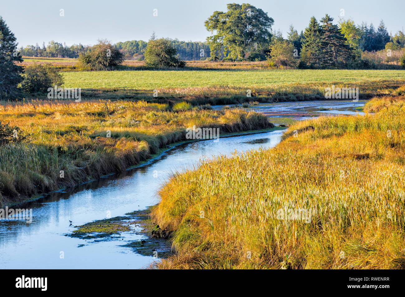 Pownal, Prince Edward Island, Canada Foto Stock