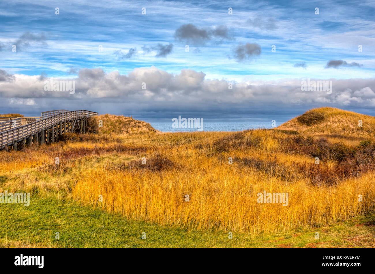 Le dune di sabbia, Cavendish, Principe Edwars Isola, Parco Nazionale, Canada Foto Stock