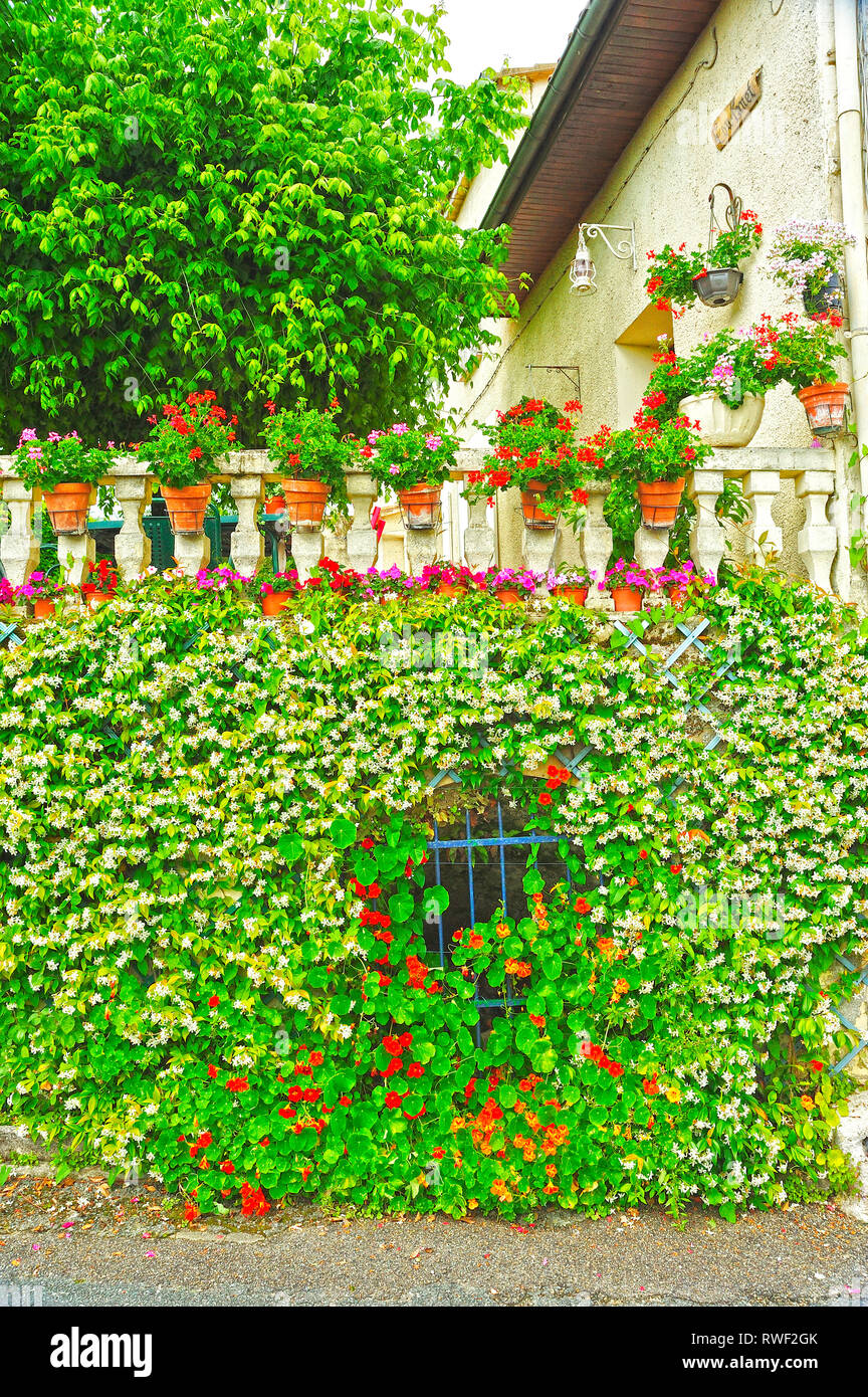 Finestra con fiori, Saint-Emilion, Gironde Department, Aquitaine, Francia Foto Stock