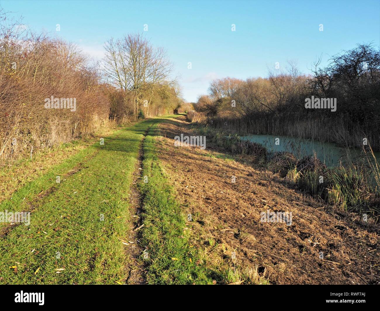 Sentiero di erba accanto Pocklington Canal nell'East Yorkshire, Inghilterra, su una soleggiata giornata invernale Foto Stock