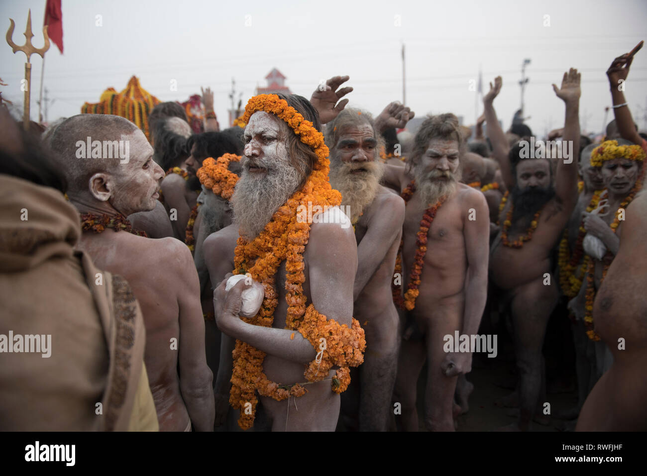 / Allahabad India 3 febbraio 2019 Naga baba sadhus andando verso le rive del fiume sacro Gange per il loro bagno Santo durante il Kumbh Mela in Allahab Foto Stock