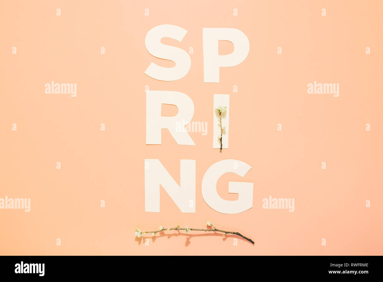 Layout creativi con iscrizione molla e rami fioriti su sfondo color pastello. Miminimalism Foto Stock