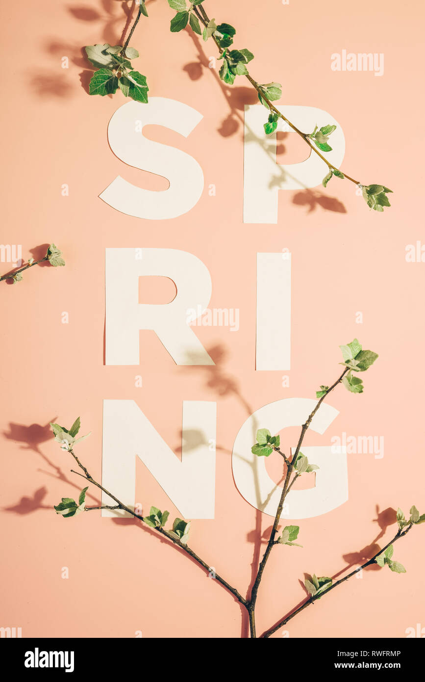 Layout creativi con iscrizione molla e rami fioriti su sfondo color pastello. Miminimalism Foto Stock