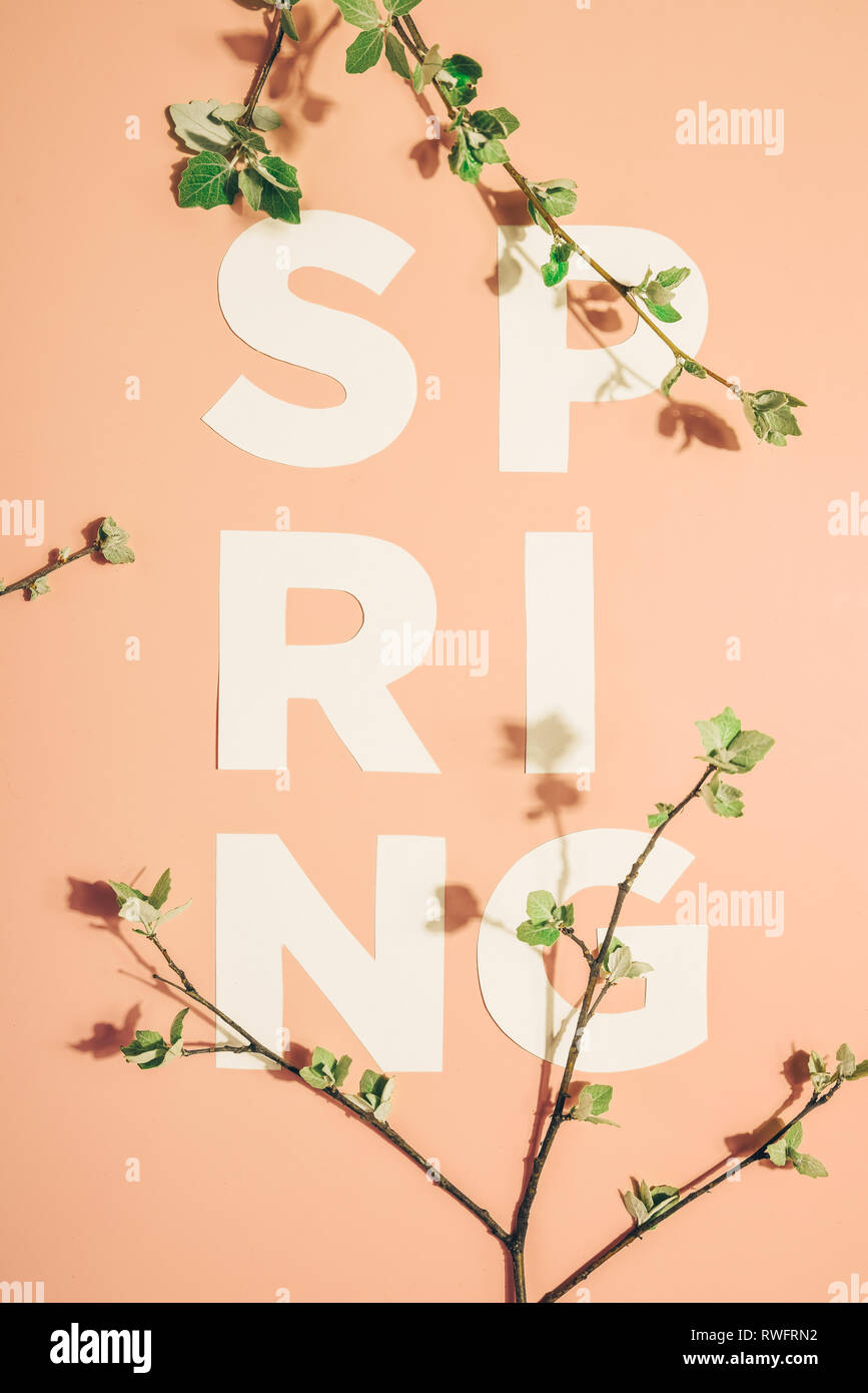 Layout creativi con iscrizione molla e rami fioriti su sfondo color pastello. Miminimalism Foto Stock