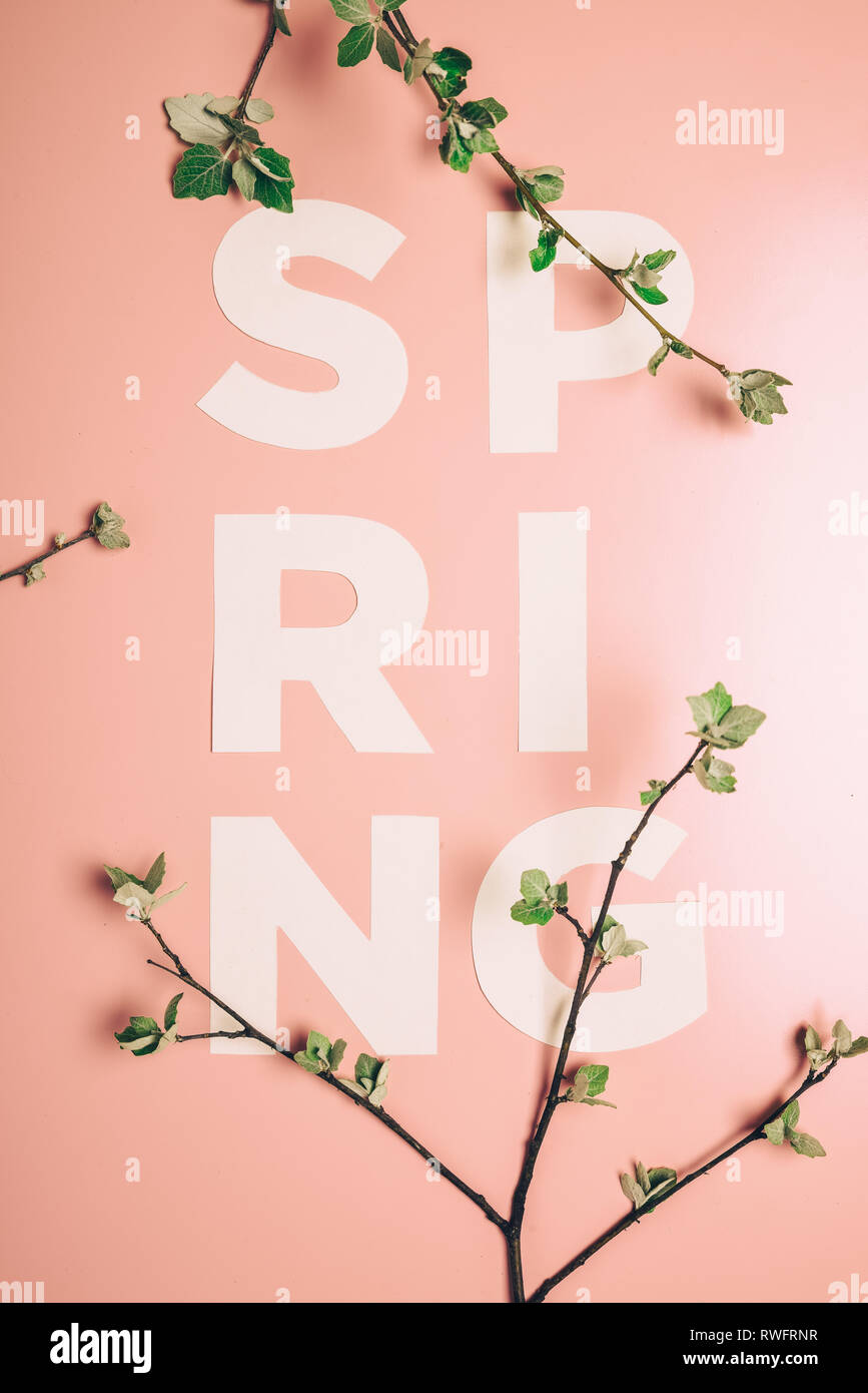 Layout creativi con iscrizione molla e rami fioriti su sfondo color pastello. Miminimalism Foto Stock