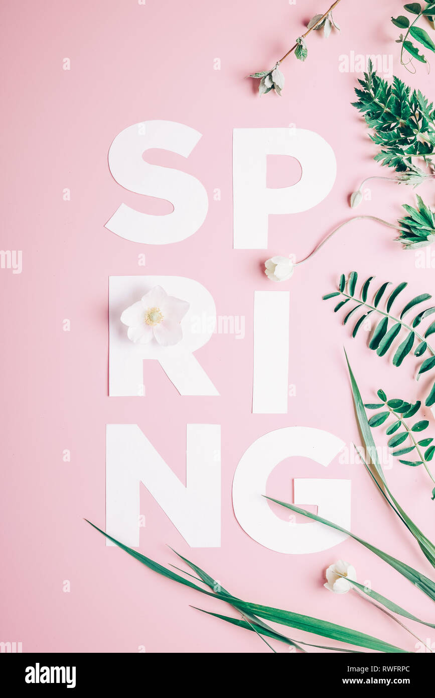 Layout creativi con iscrizione fiori di primavera e foglie su un sfondo rosa. Piatto minimalismo dei laici Foto Stock