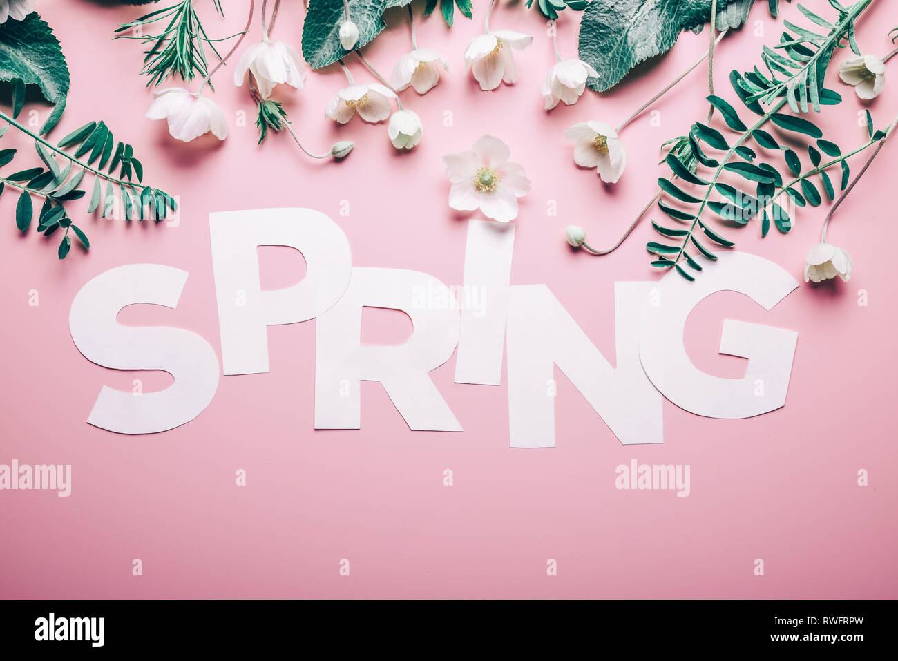 Layout creativi con iscrizione fiori di primavera e foglie su un sfondo rosa. Piatto minimalismo dei laici Foto Stock