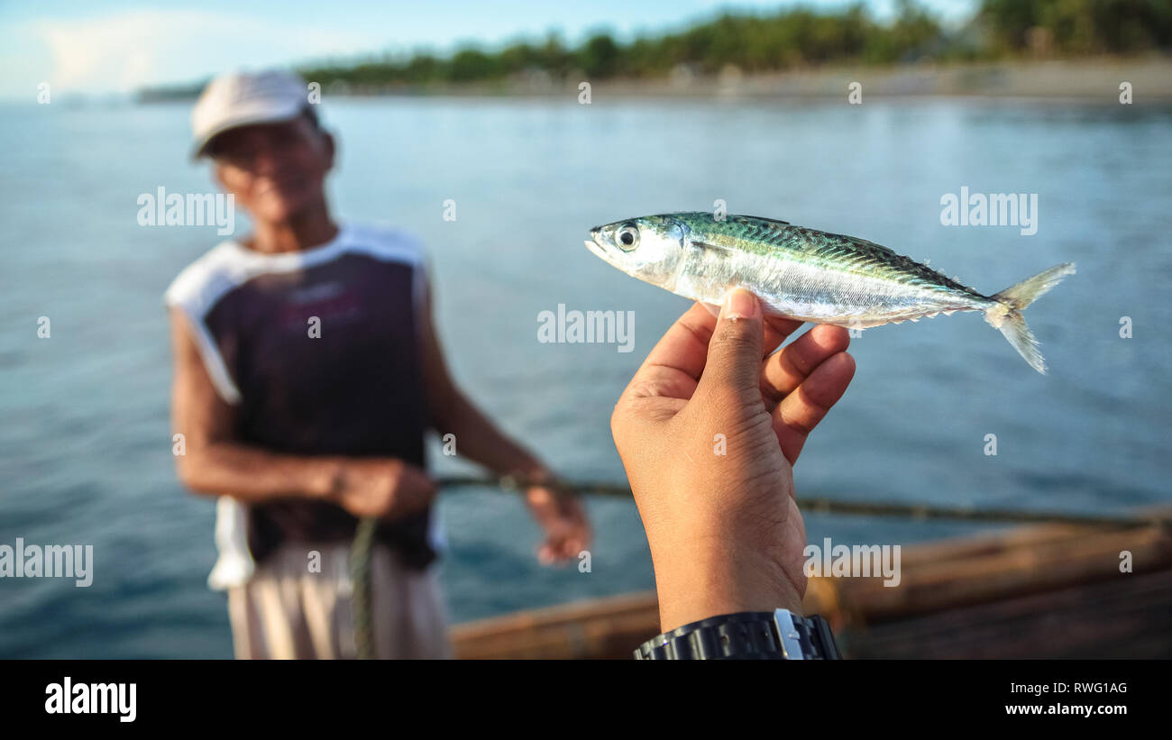 Mano azienda piccoli pesci pescati, con pescatore - Tibiao, antichi - Filippine Foto Stock