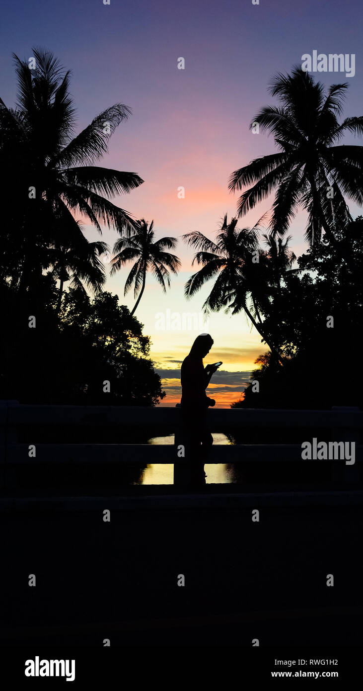 Isola ragazza controllando il suo telefono, con Palm Tree Silhouettes durante il tramonto - Boracay Island - Filippine Foto Stock