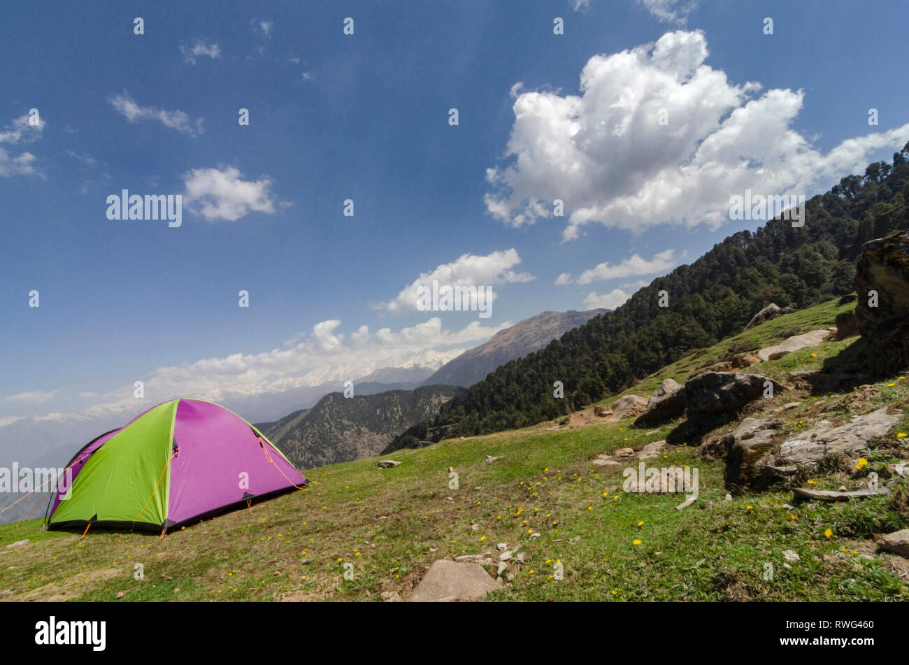 Campeggio e tenda vicino Tungnath Base, Chopta, Garhwal, Uttarakhand, India. Foto Stock