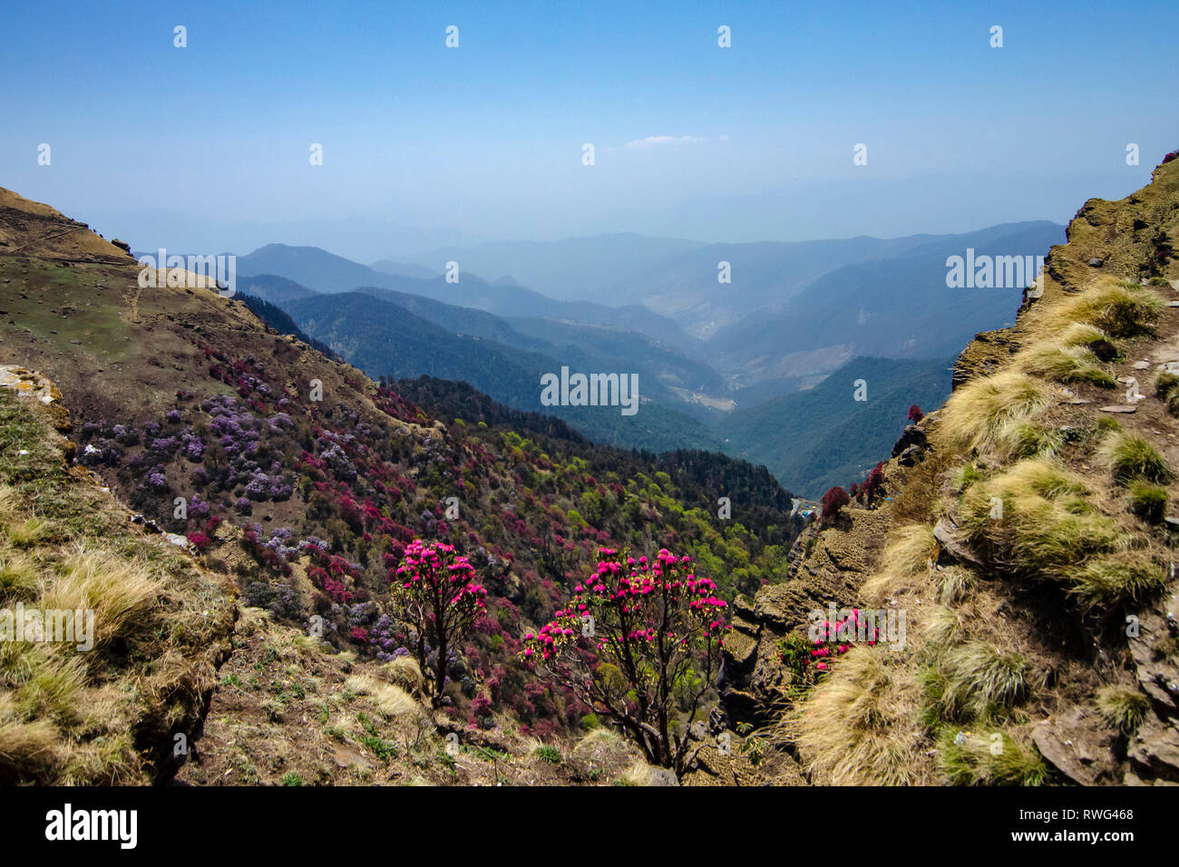 Valle pittoresca vista dal picco Tungnath, Garhwal, Uttarakhand, India. Foto Stock