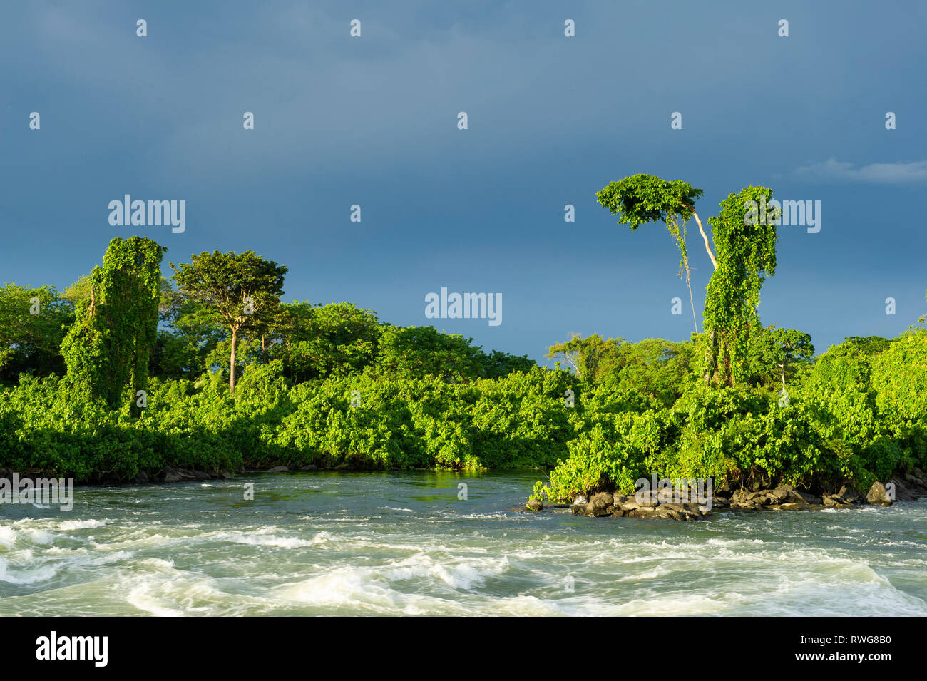 Rapids sulla Upper Nile Kalagala, Uganda Foto Stock Rapids sulla Upper Nile Kalagala, Uganda Foto Stock
