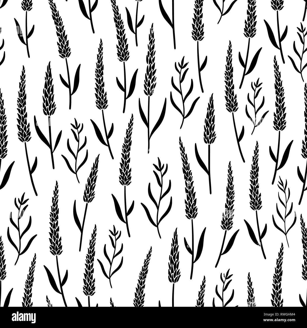 Lavanda fiori seamless pattern. Illustrazione Vettoriale nero su sfondo bianco. Per i tessili, web, stampa, superficie di progettazione Illustrazione Vettoriale