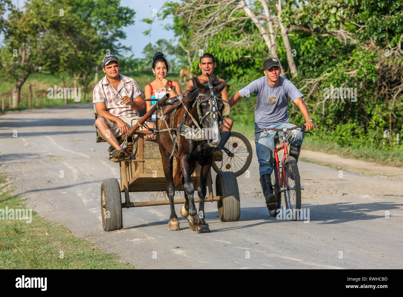 Artemisa, Cuba. 29 Maggio, 2009. I trasporti nel paesaggio rurale spesso può consistere di un cavallo e il carrello al di fuori Artemisa, Cuba. Foto Stock