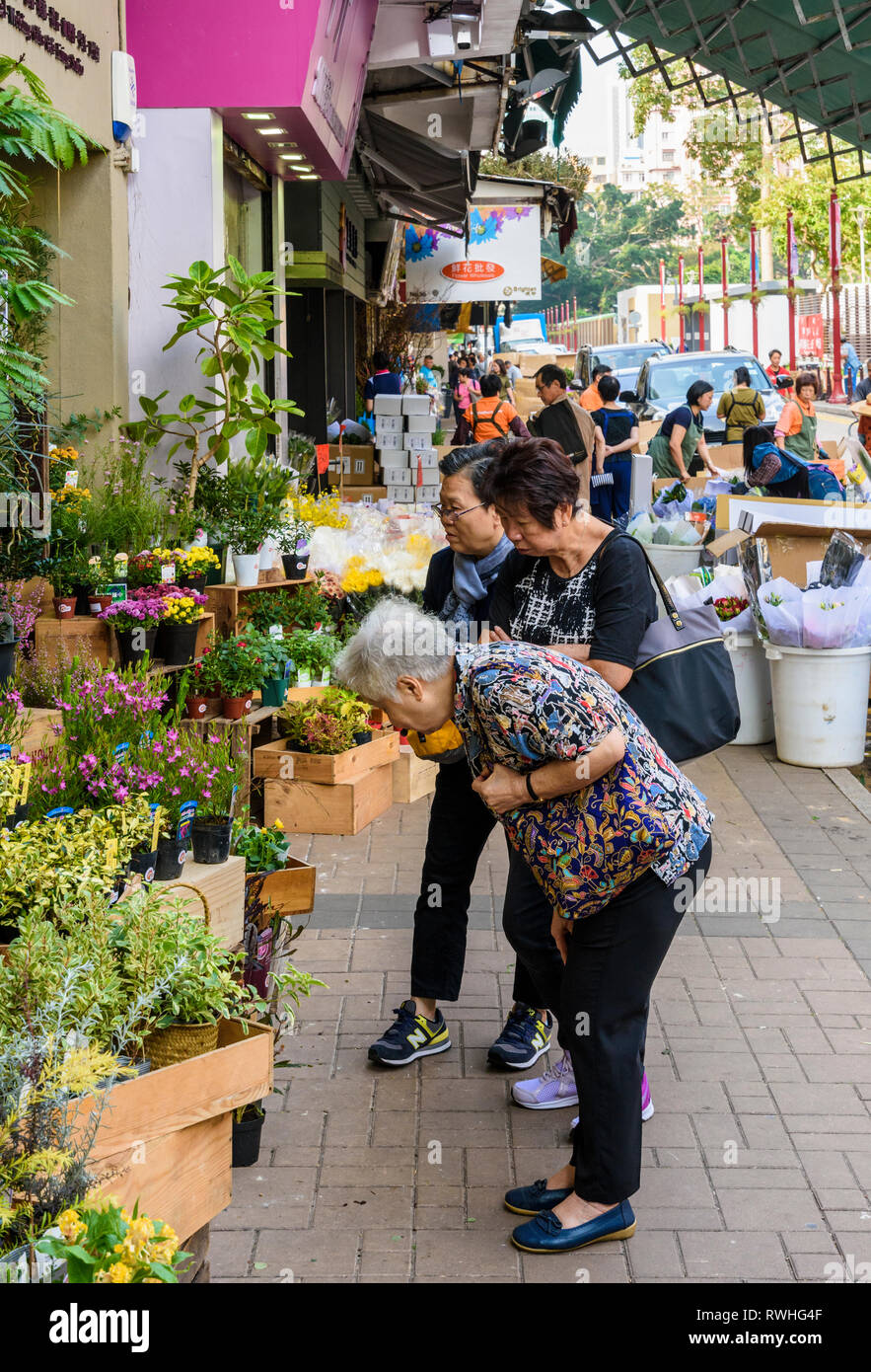 Negozio di locali lungo il Mercato dei Fiori Road, Kowloon, Hong Kong Foto Stock