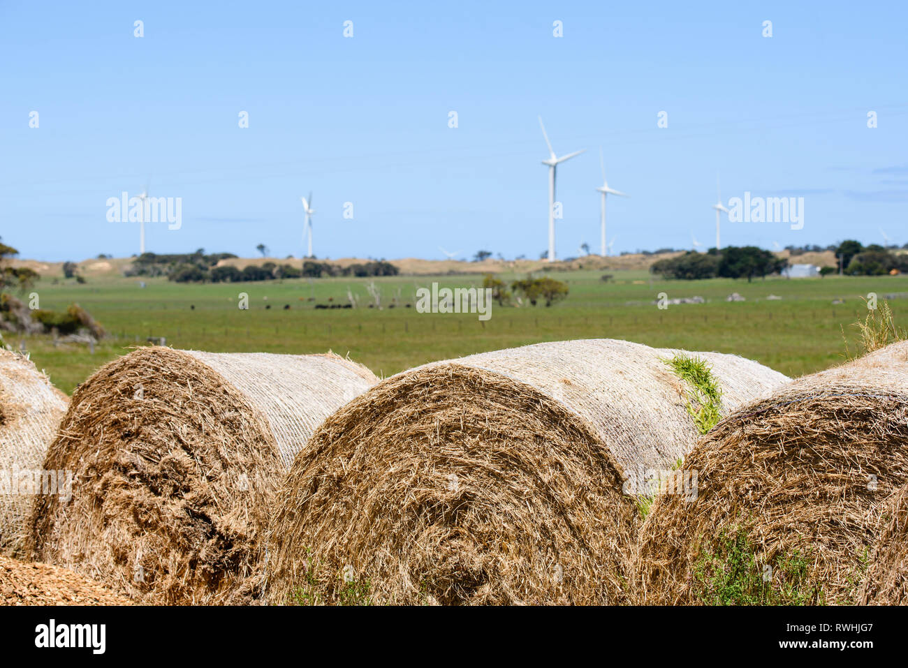 Laminati di balle di fieno in Victoria rurale con wind farm turbine in background in Australia Foto Stock