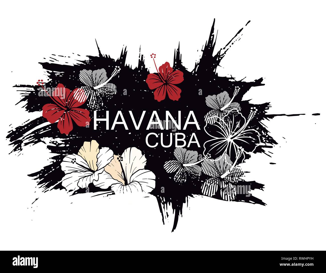 Washington DC Illustrazione Vettoriale