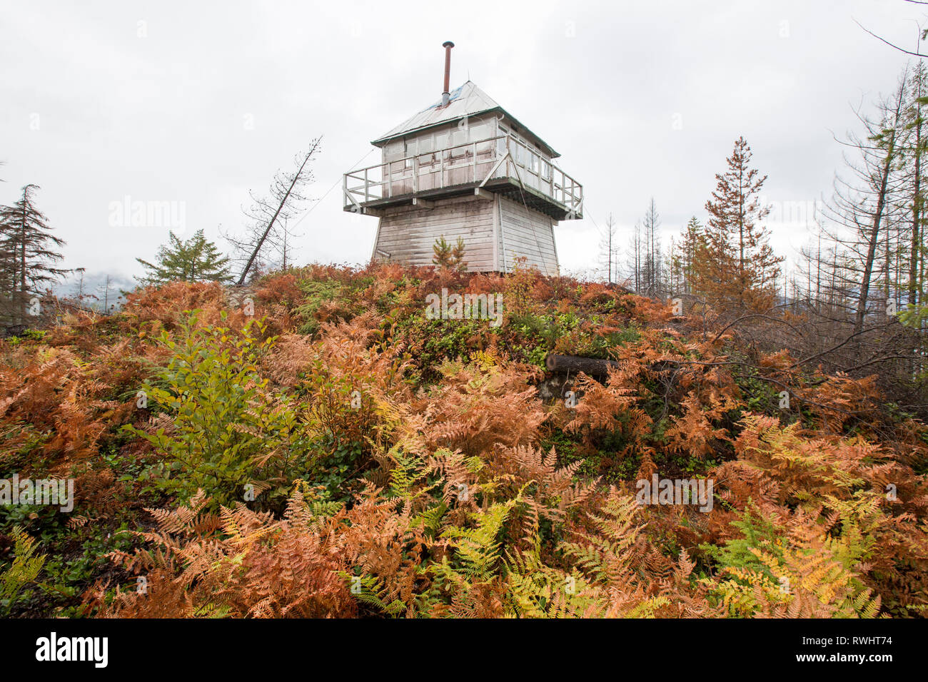 Un incendio della torre di vedetta si trova abbandonato vicino Lago Harrison, British Columbia, Canada. Foto Stock