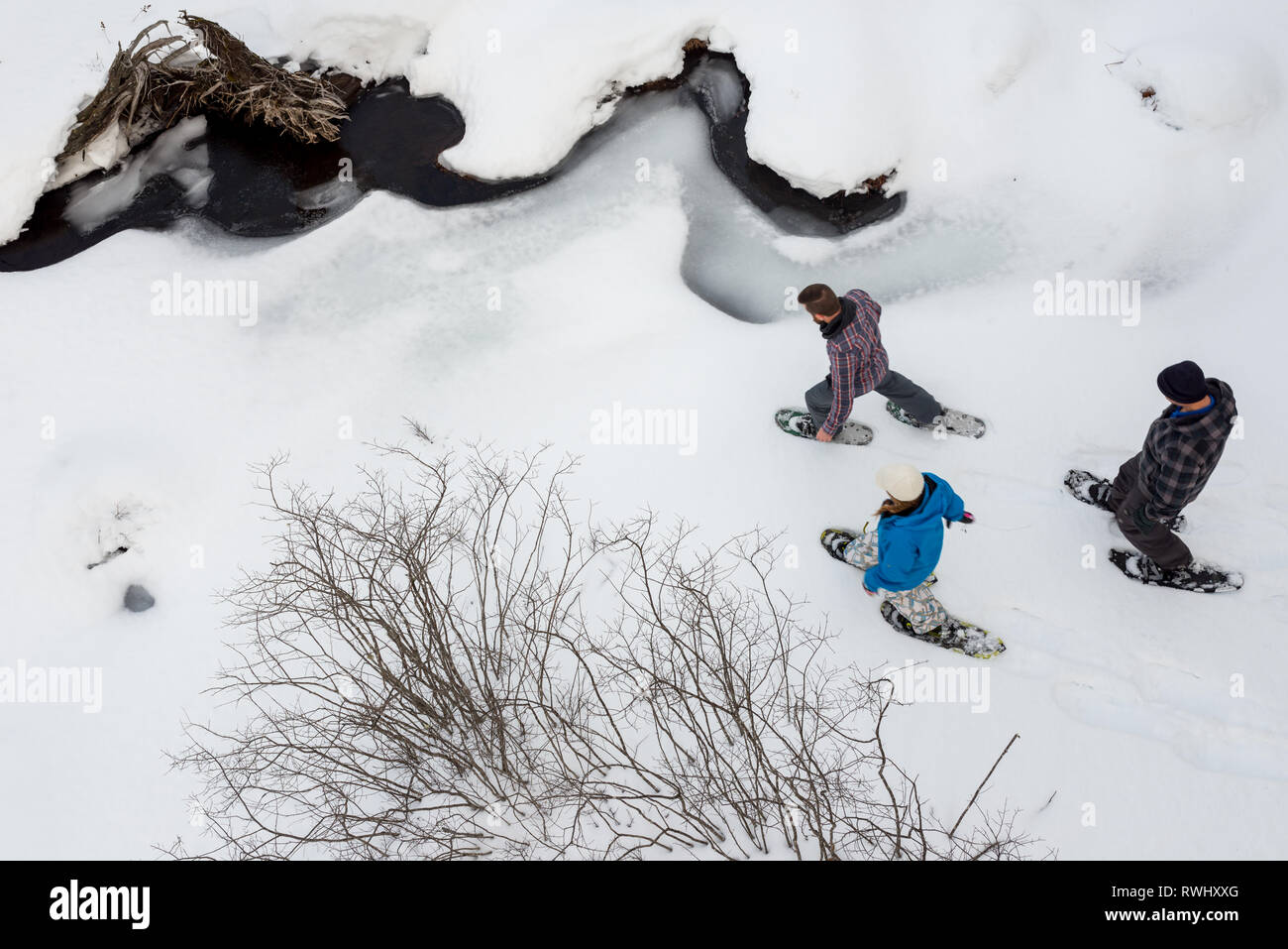 Gruppo di amici (tutti tardo 30s) con le racchette da neve lungo un ruscello in inverno. Mont Tremblant, Quebec, Canada Foto Stock
