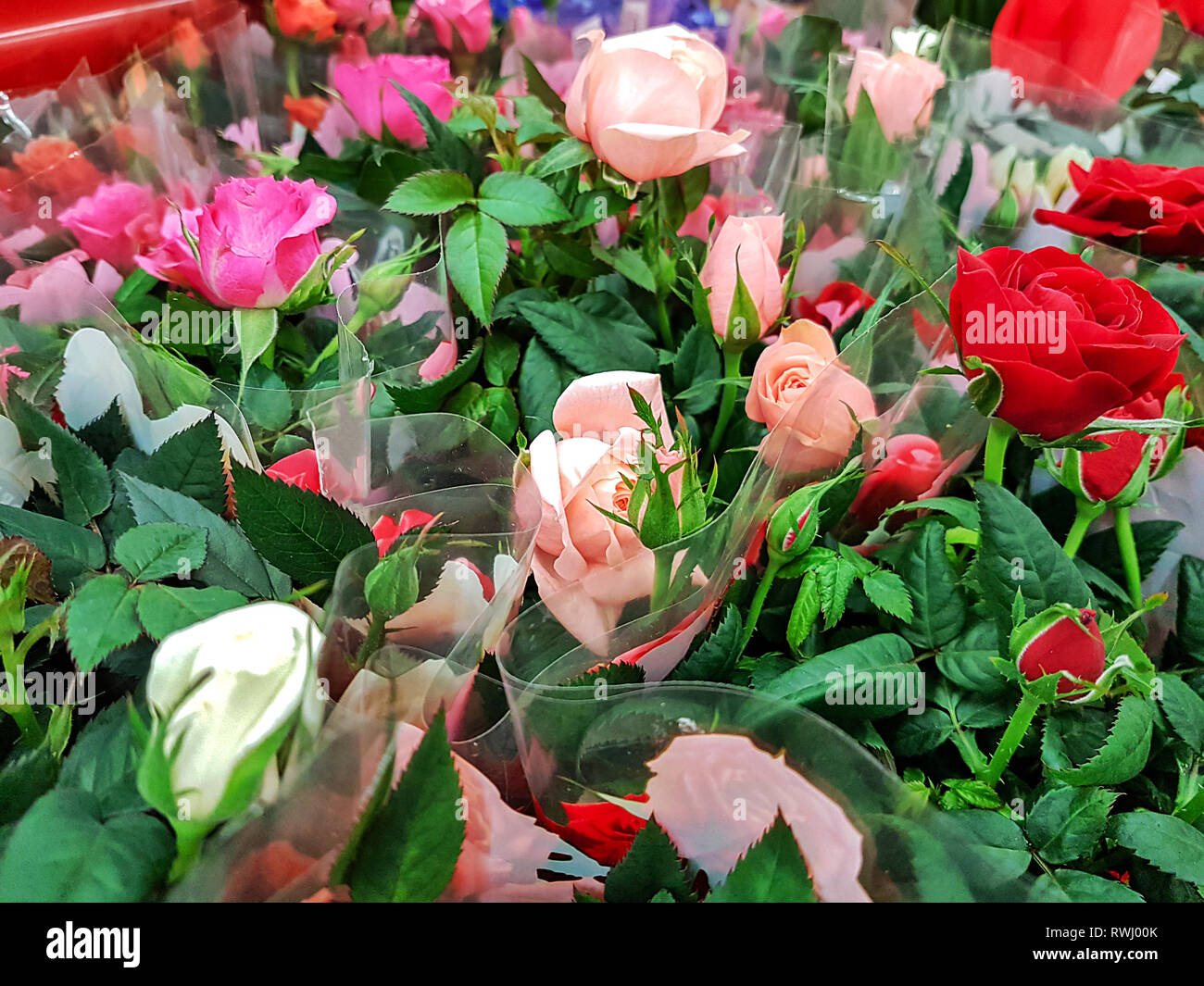 Molti mazzi di bellissime rose in vendita nel negozio di fioristi. Foto Stock