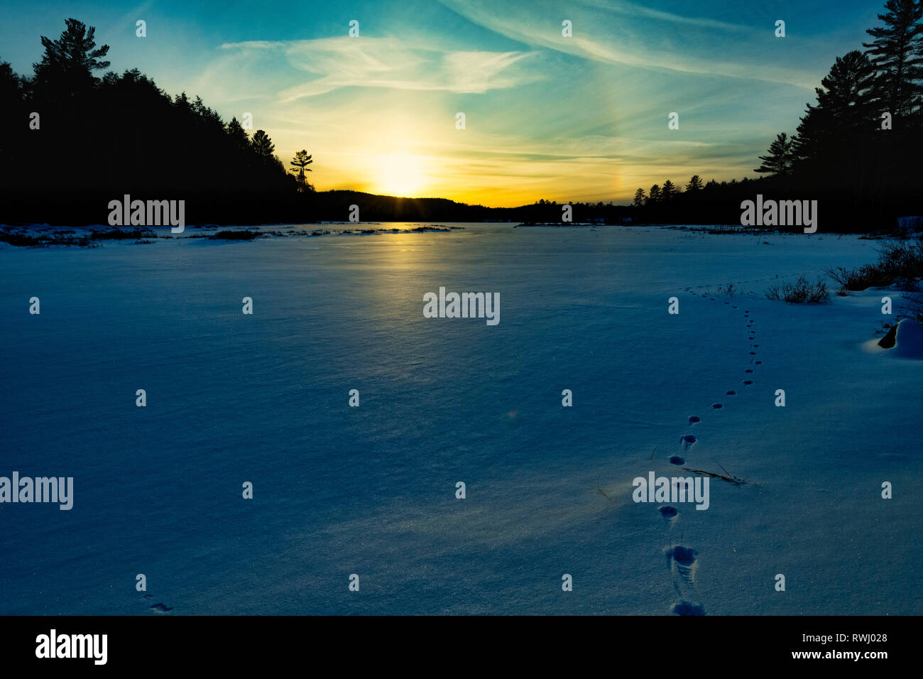 Il tramonto che si affaccia su una zona umida congelata con le tracce degli animali su un freddo inverno di sera, Haliburton, Ontario, Canada Foto Stock