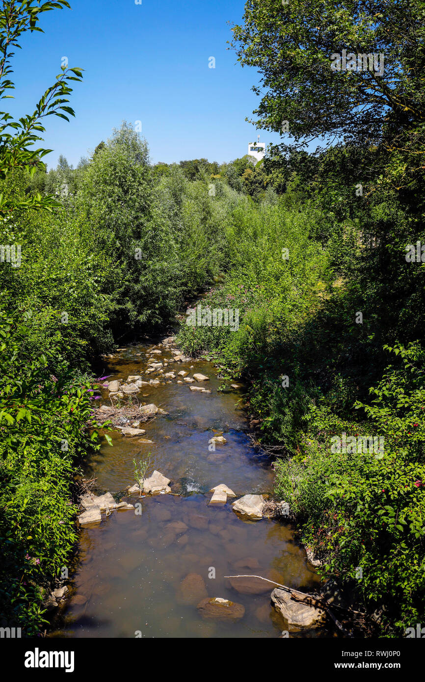 Dortmund, la zona della Ruhr, Renania settentrionale-Vestfalia, Germania - Emscher, renaturalized nel fiume Dortmund-Schoenau. La ricostruzione ecologica di Emscher Foto Stock