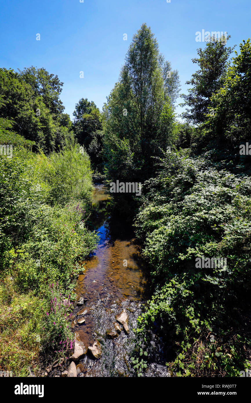 Dortmund, la zona della Ruhr, Renania settentrionale-Vestfalia, Germania - Emscher, renaturalized nel fiume Dortmund-Schoenau. La ricostruzione ecologica di Emscher Foto Stock