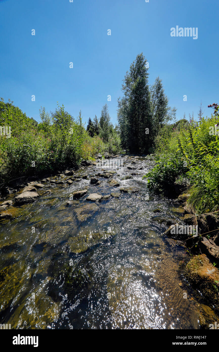 Dortmund, la zona della Ruhr, Renania settentrionale-Vestfalia, Germania - Emscher, renaturalized nel fiume Dortmund-Schoenau. La ricostruzione ecologica di Emscher Foto Stock