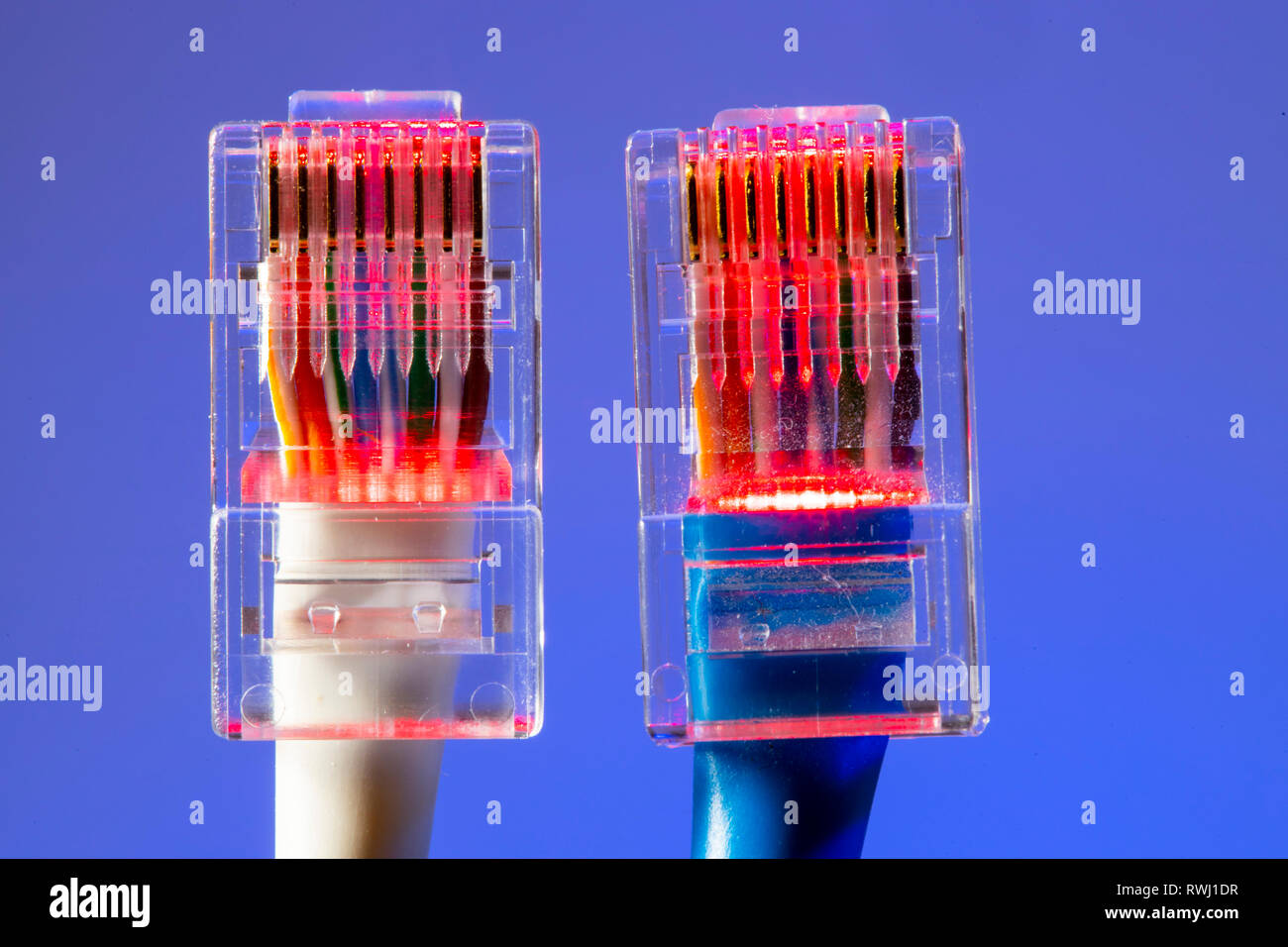 Connessione internet, connettore maschio RJ45, cavo LAN, cavo patch Ethernet, Foto Stock