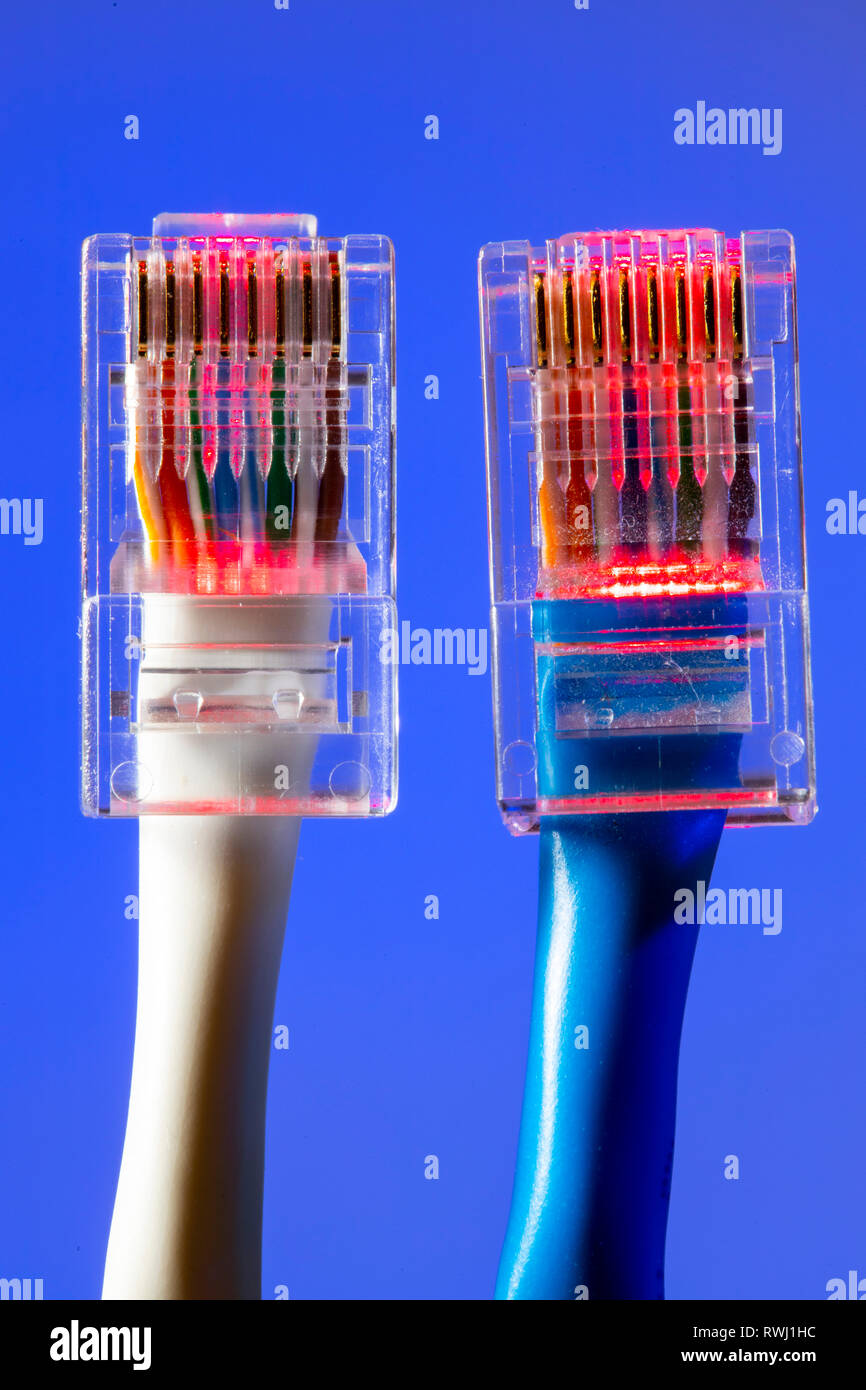 Connessione internet, connettore maschio RJ45, cavo LAN, cavo patch Ethernet, Foto Stock