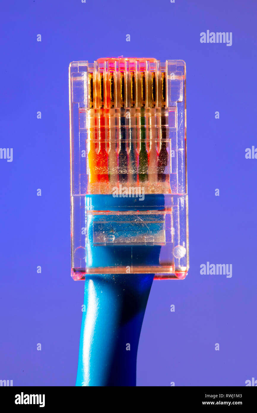 Connessione internet, connettore maschio RJ45, cavo LAN, cavo patch Ethernet, Foto Stock