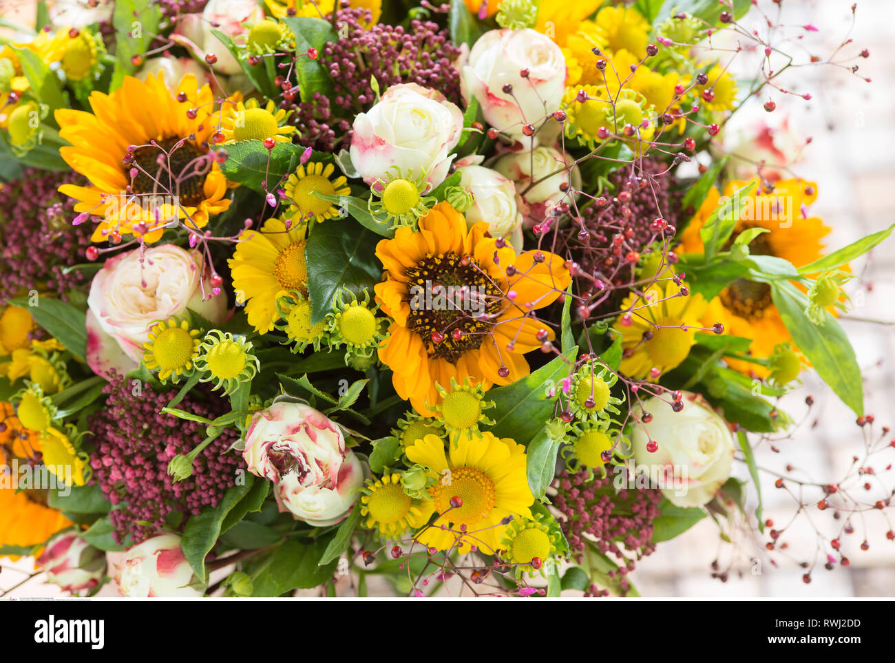 La botanica, tarda estate round hardcover mazzetto, attenzione! Per Greetingcard-Use / Postcard-Use nei Paesi di lingua tedesca talune restrizioni possono applicare Foto Stock