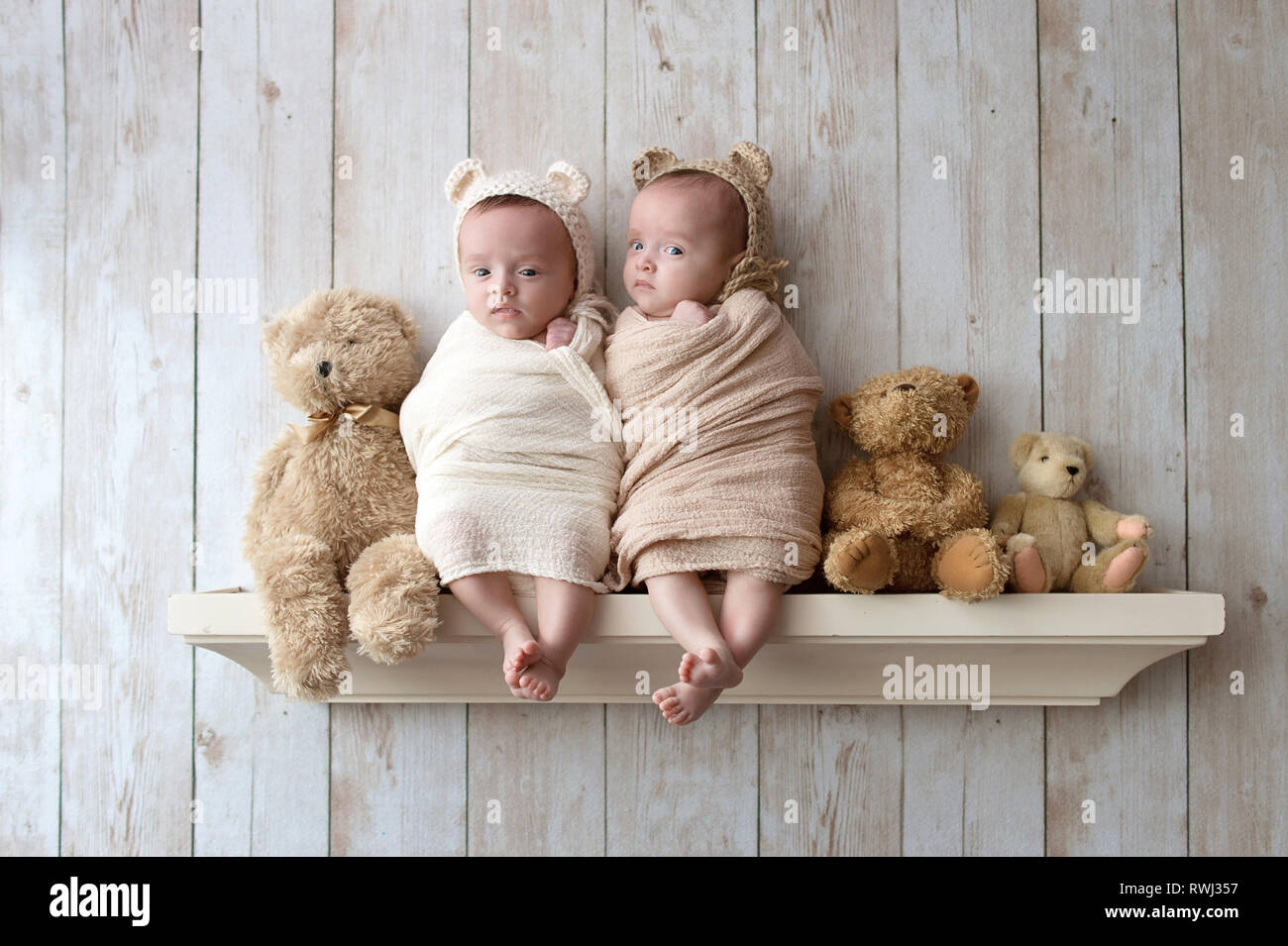 Twin baby sorelle indossando maglia bear cofani e seduto su un ripiano di legno accanto a tre farcite porta. Foto Stock