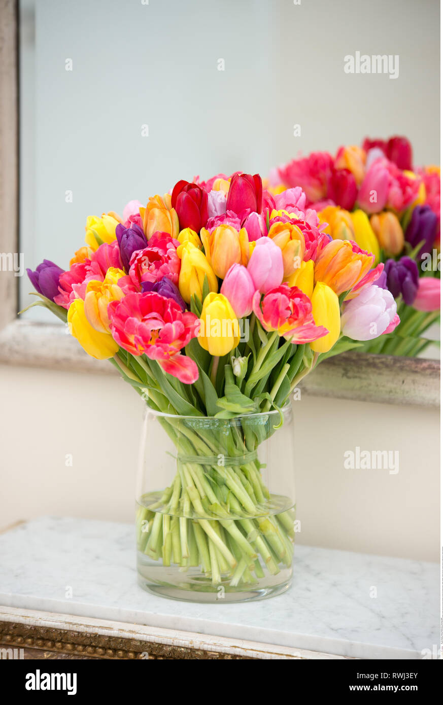 La botanica, multicolore bouquet di tulipani in , Attenzione! Per Greetingcard-Use / Postcard-Use nei Paesi di lingua tedesca talune restrizioni possono applicare Foto Stock