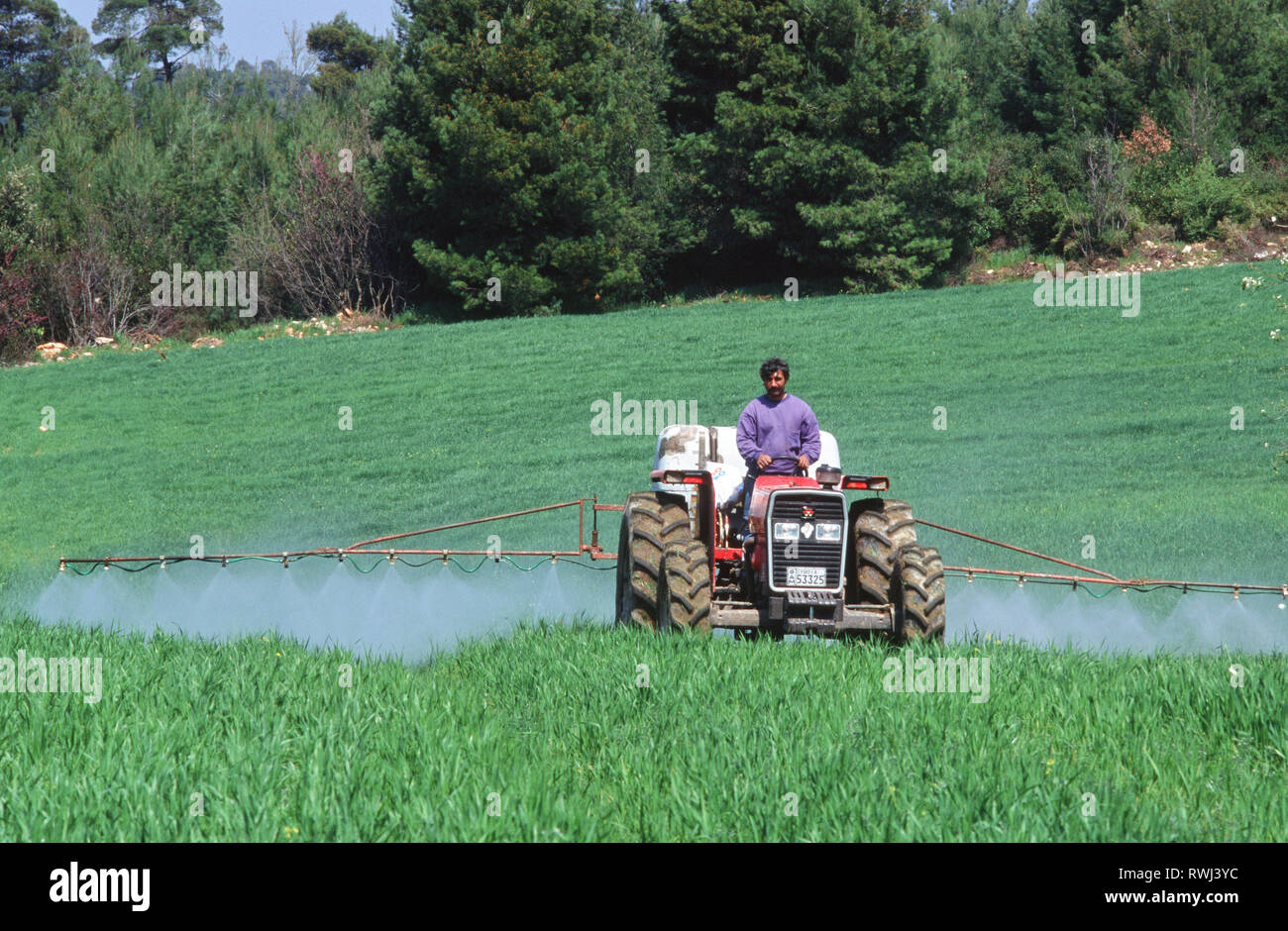 Un agricoltore spruzza un campo di giovani di frumento dell'isola di Eubea, Grecia. Foto Stock