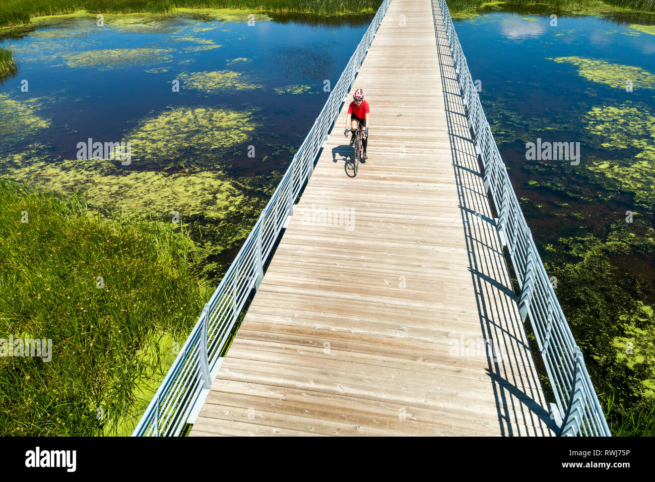 Un ciclista femmina su un ponte che attraversa un laghetto palustre, a est di Calgary, Alberta, Canada Foto Stock