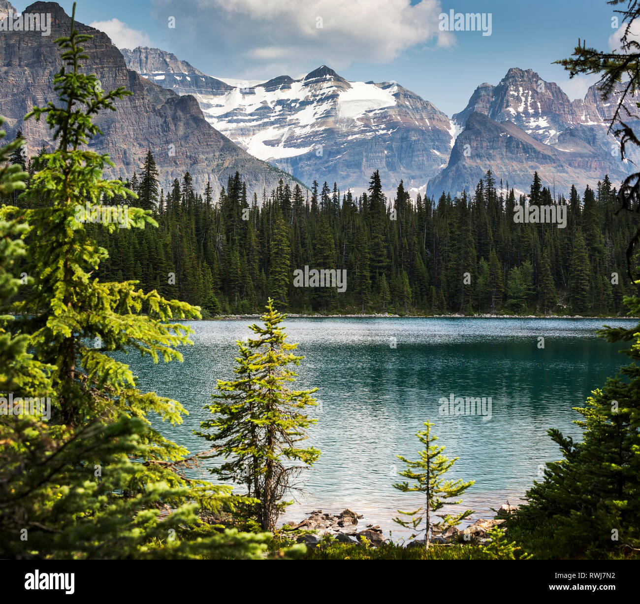 Lago alpino incorniciato da alberi con la gamma della montagna in background; British Columbia, Canada Foto Stock