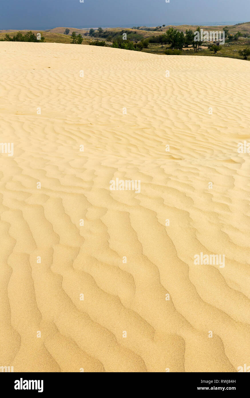 Dune di sabbia increspature sulla grande duna di sabbia collina con dolci colline e il cielo blu scuro in background, a sud-est di Leader; Saskatchewan, Canada Foto Stock