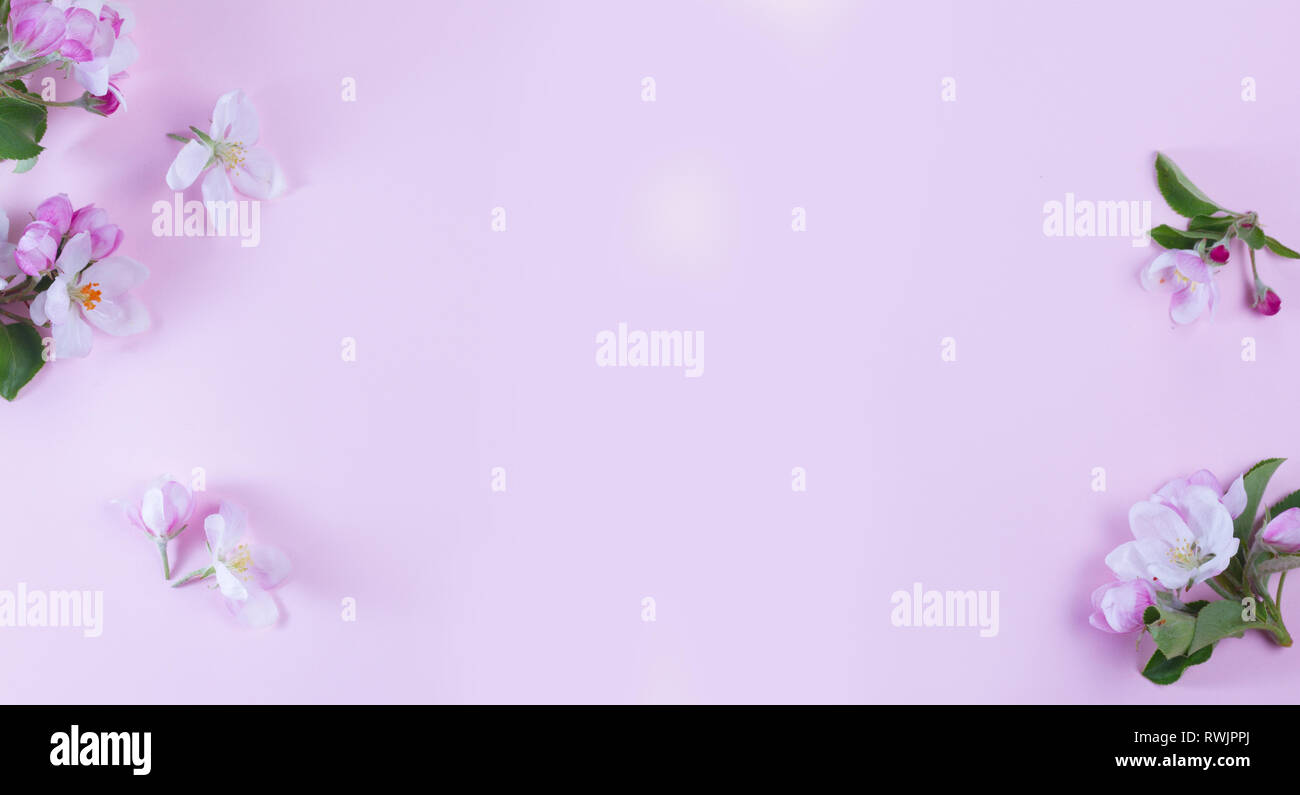 Molla albero di fiori Foto Stock