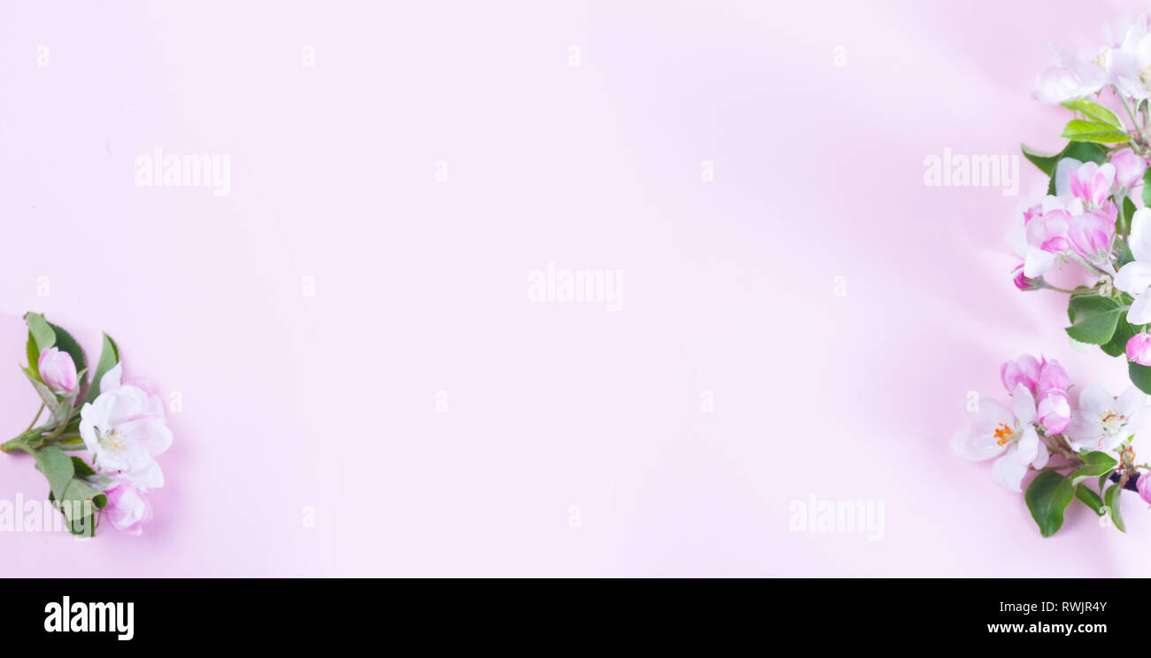 Molla albero di fiori Foto Stock