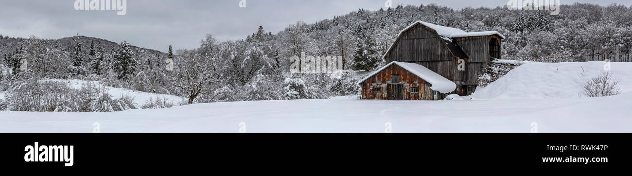 Coperte di neve fienile e gli alberi in un giorno nuvoloso; Sutton, Quebec, Canada Foto Stock